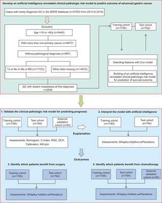 Artificial intelligence annotated clinical-pathologic risk model to predict outcomes of advanced gastric cancer
